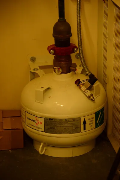 DSC_1336 (Large).JPG